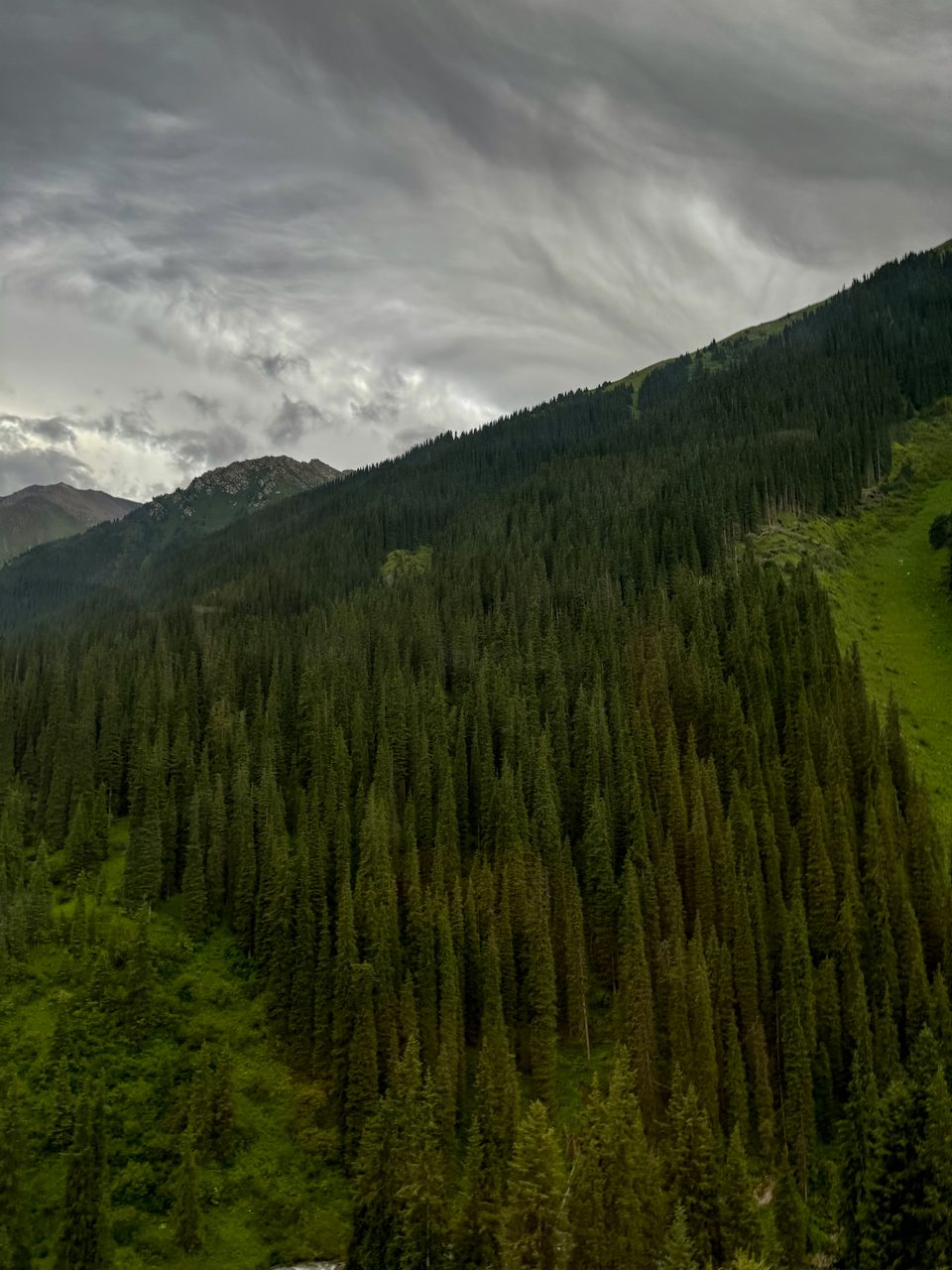 Altyn-Arashan mountain valley with a trail and slopes.