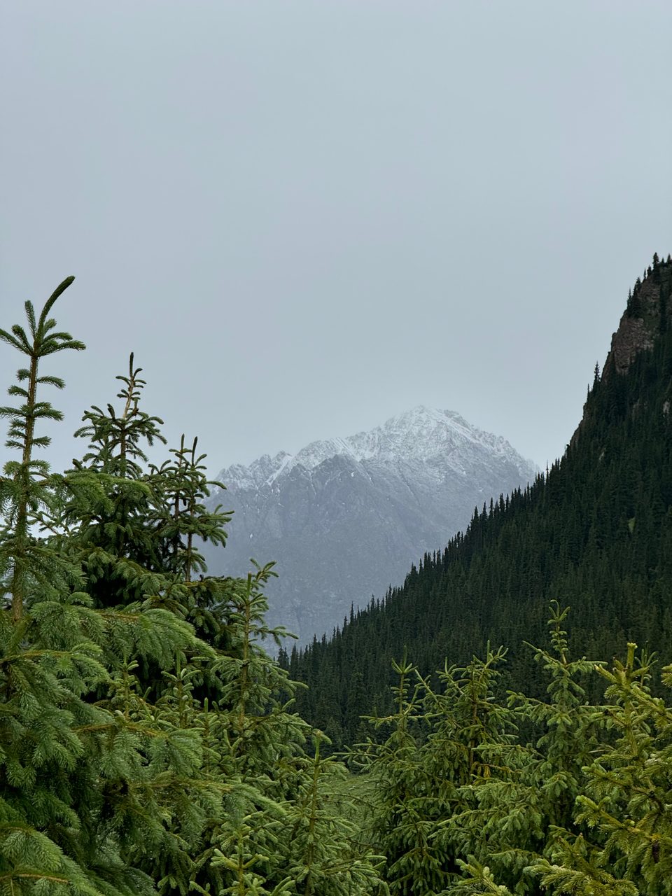 A view of Altyn-Arashan valley among the Tian Shan mountains.