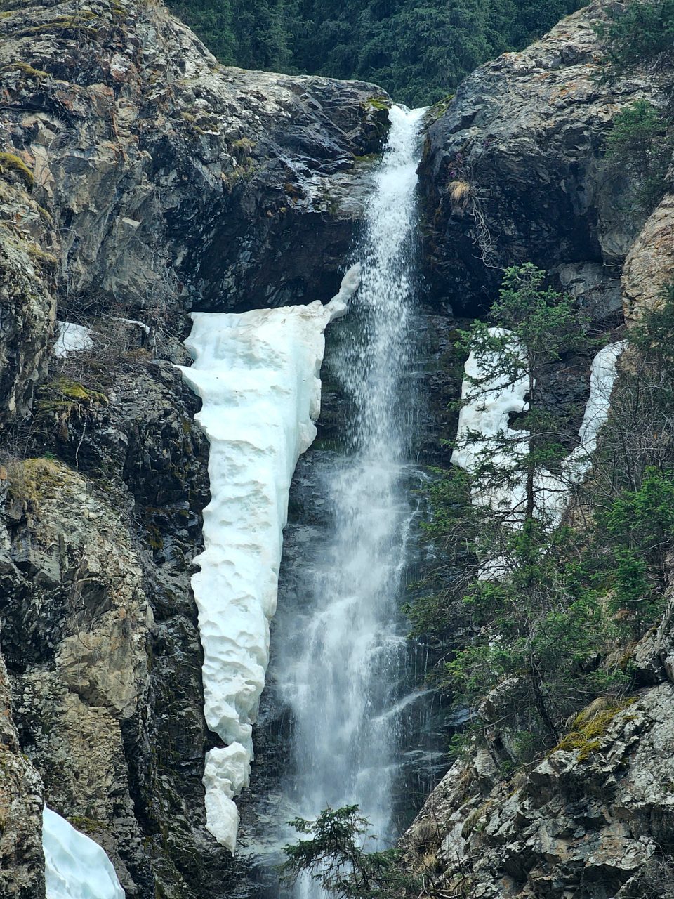 A close view of the waterfall framed by conifers and lingering snow.