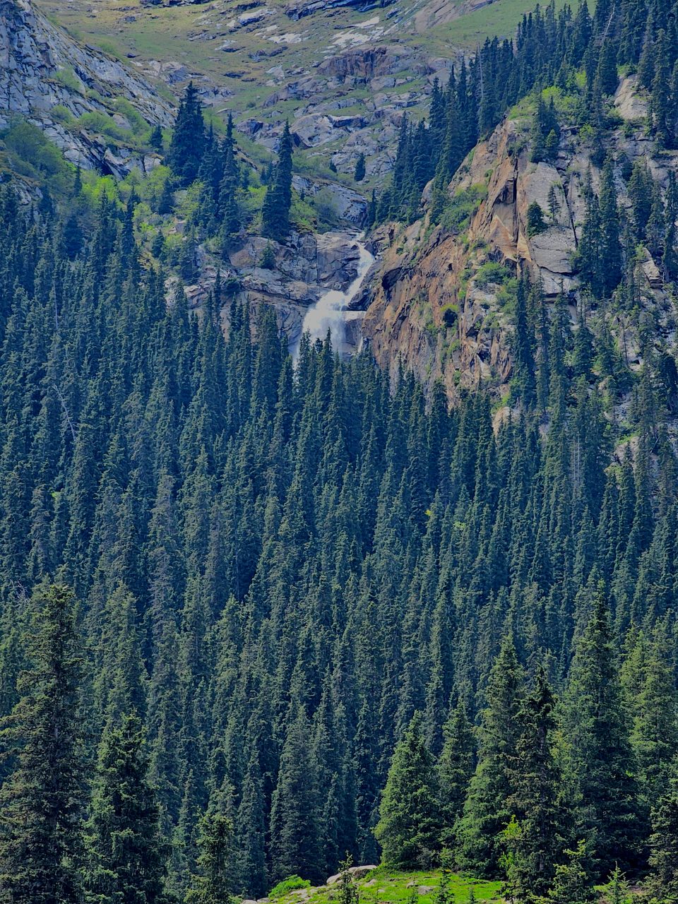 Barskoon Waterfall appears high on the mountainside beyond a dense forest.