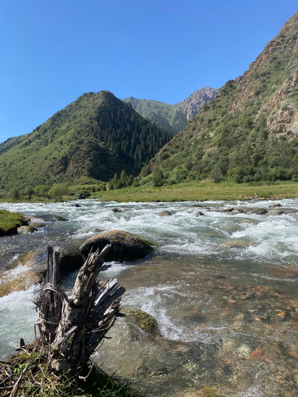 Fast-flowing river among rocks below the green mountain slopes of Besh-Tash.