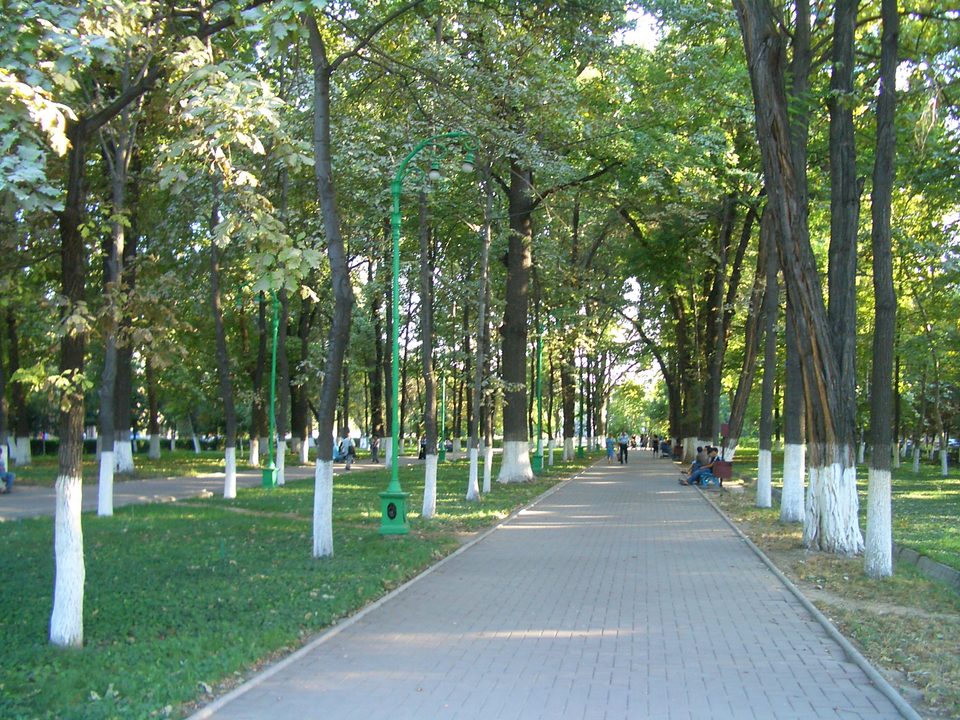 A pedestrian path along Erkindik Boulevard among tall trees.
