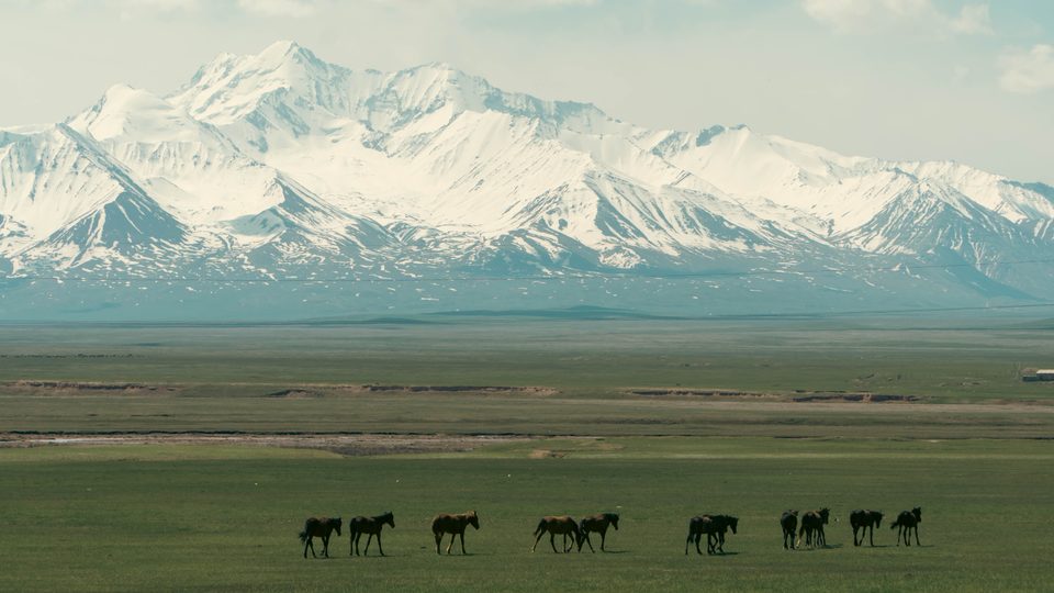 The Trans-Alay Range above a horse pasture near Sary-Mogol.