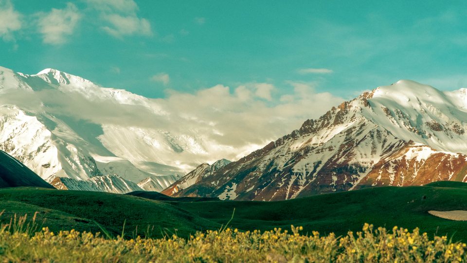 Green hills and flowers with snowy mountains near Sary-Mogol.